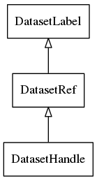 digraph Dataset {
node[shape=record]
edge[dir=back, arrowtail=empty]

DatasetLabel;
DatasetRef;
DatasetHandle;

DatasetLabel -> DatasetRef;
DatasetRef -> DatasetHandle;
}